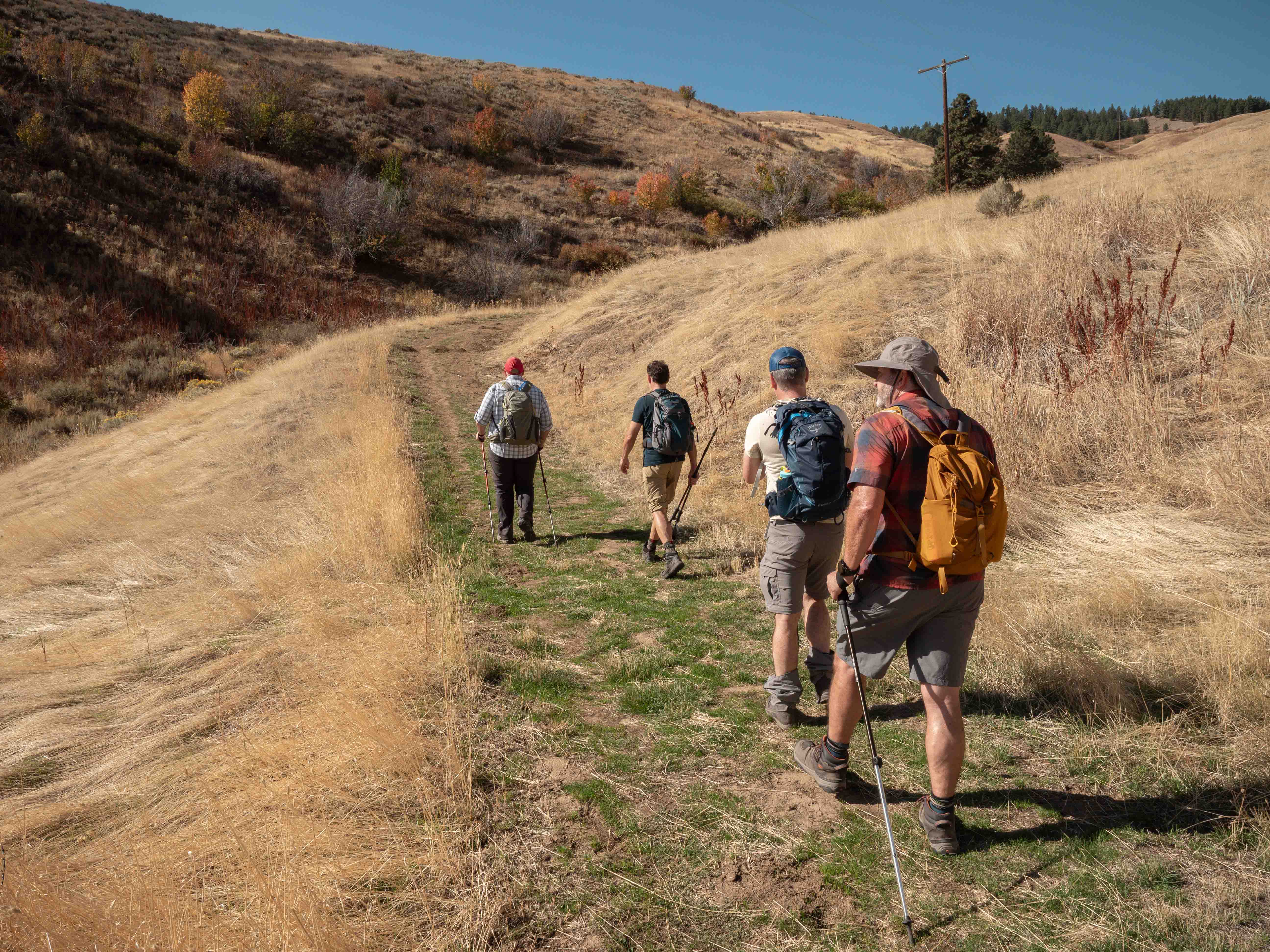 Four hikers on a wide grassy trail through rolling hills and open meadows in Cashmere Canyon under a blue sky