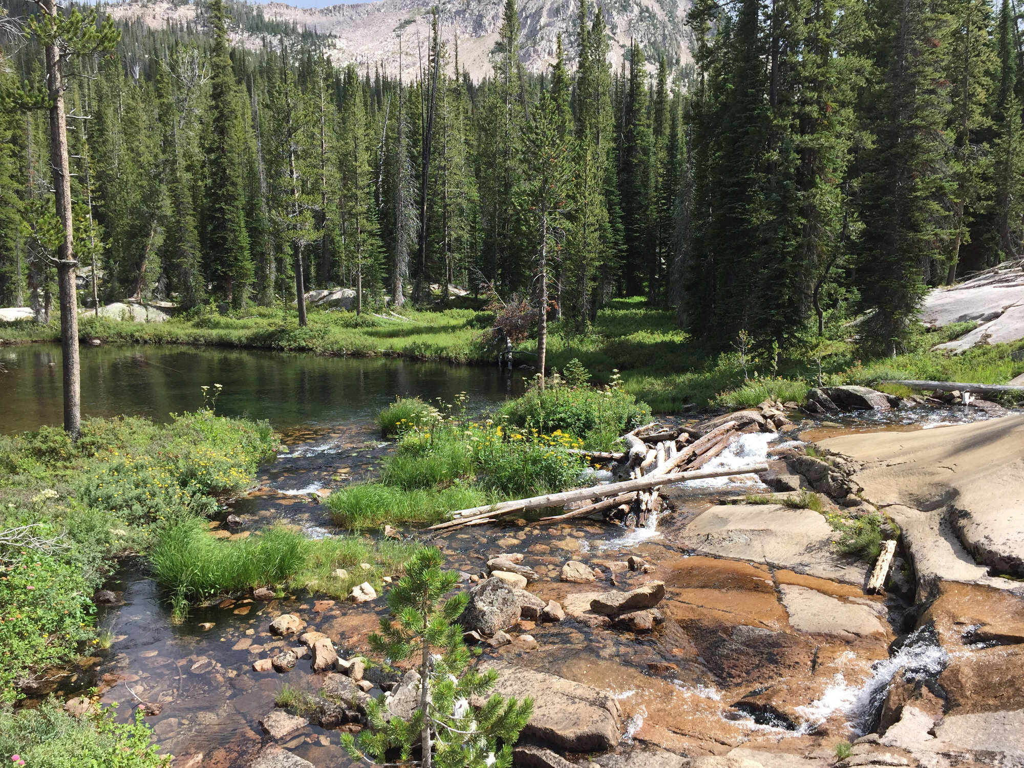 A cascade and wildflower meadow near Farley Lake in the Sawtooth backcountry