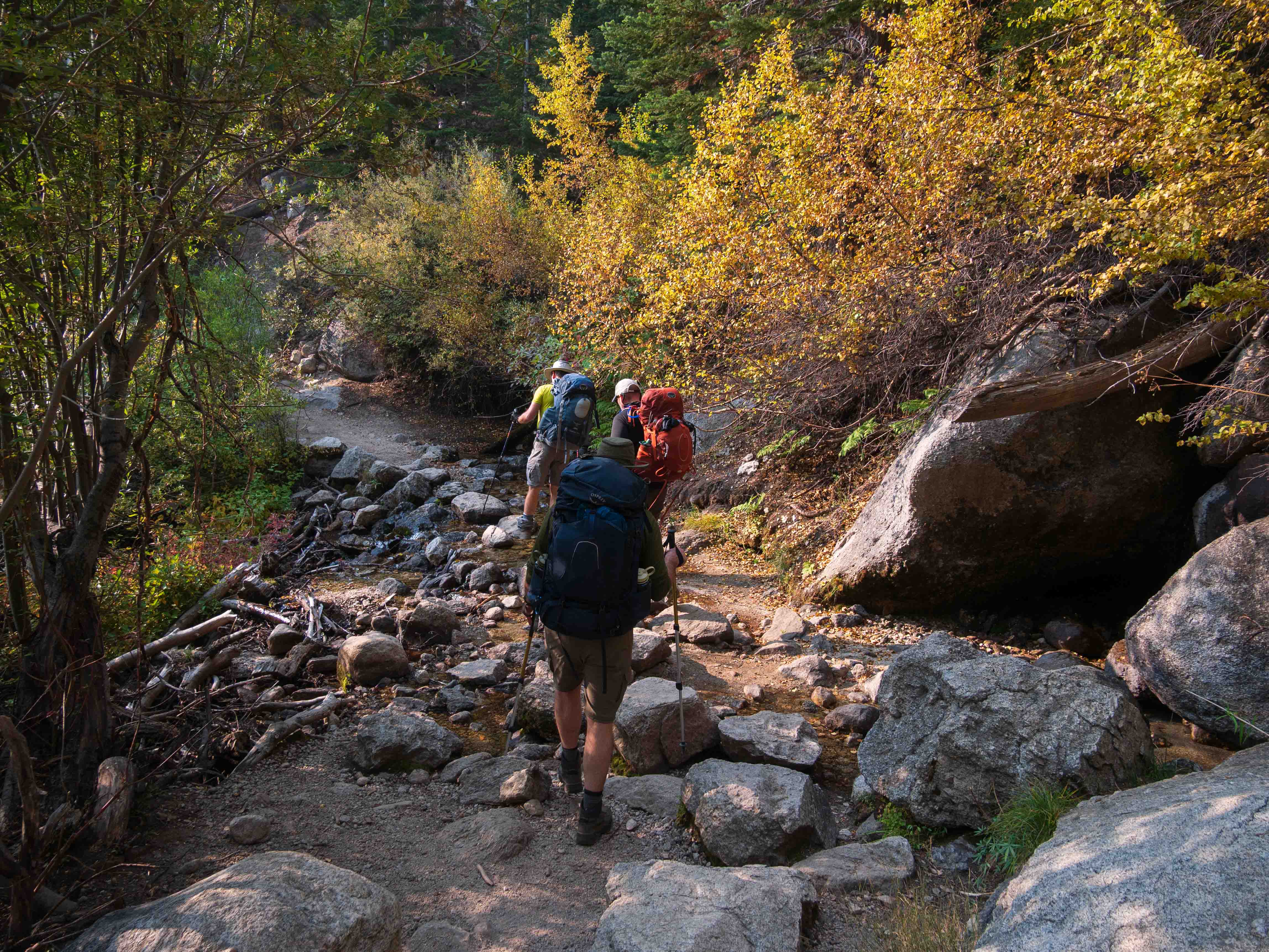 Hikers on the lower Mount Whitney trail through fall foliage